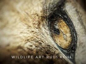 Rudi Kohl- Künstler