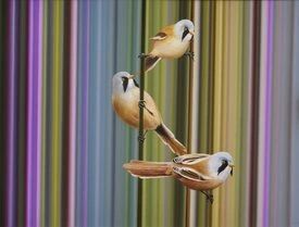 Harro Maas Galerie