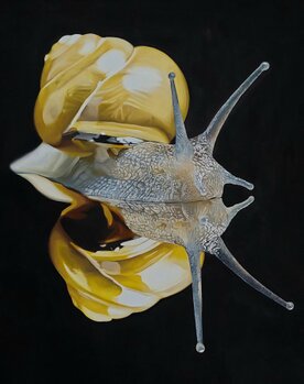 Florence Trus-Galerie